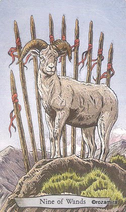 Animal Totem Tarot